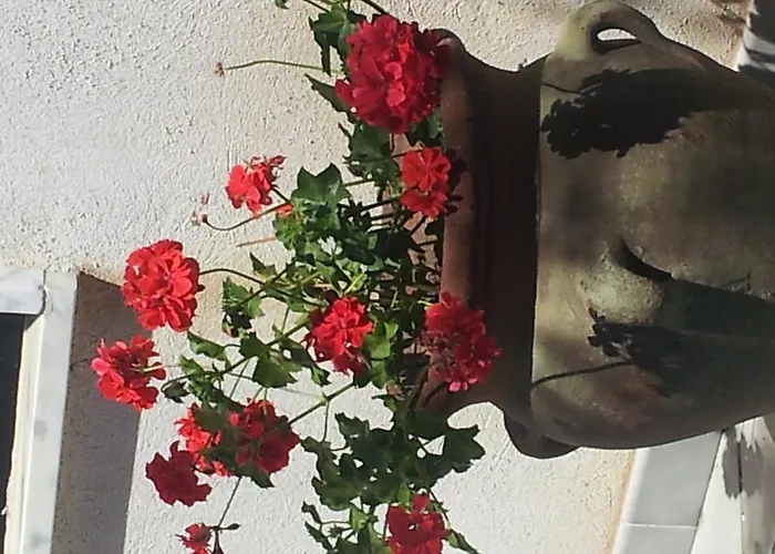 Vila Virginia Pellaro