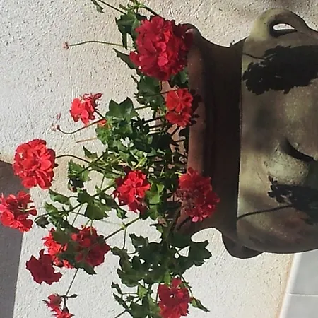 Вилла Virginia Pellaro